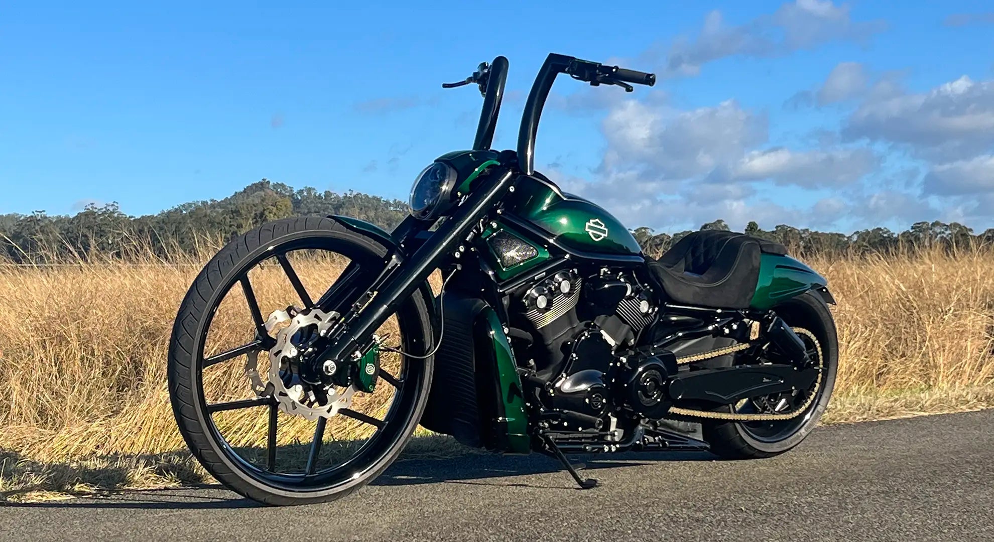 Custom Painted Harley Davidson Specialist