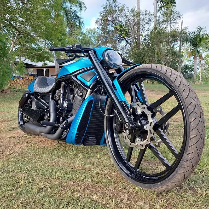 custom paint job for harleys